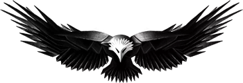Maverick Security & Consulting